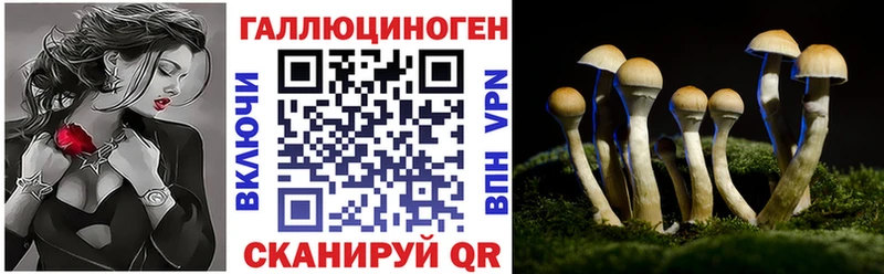 omg Холм Галлюциногенные грибы Psilocybe